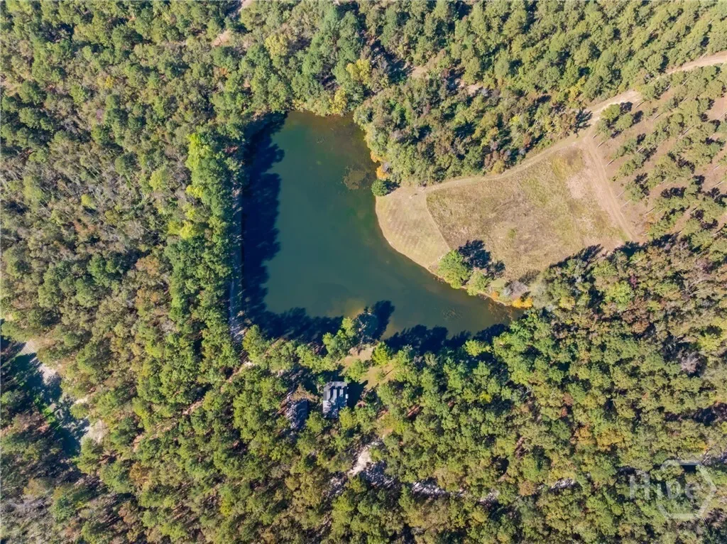 0 Honey Ridge Road, Millen, Georgia, United States. - Photo 46