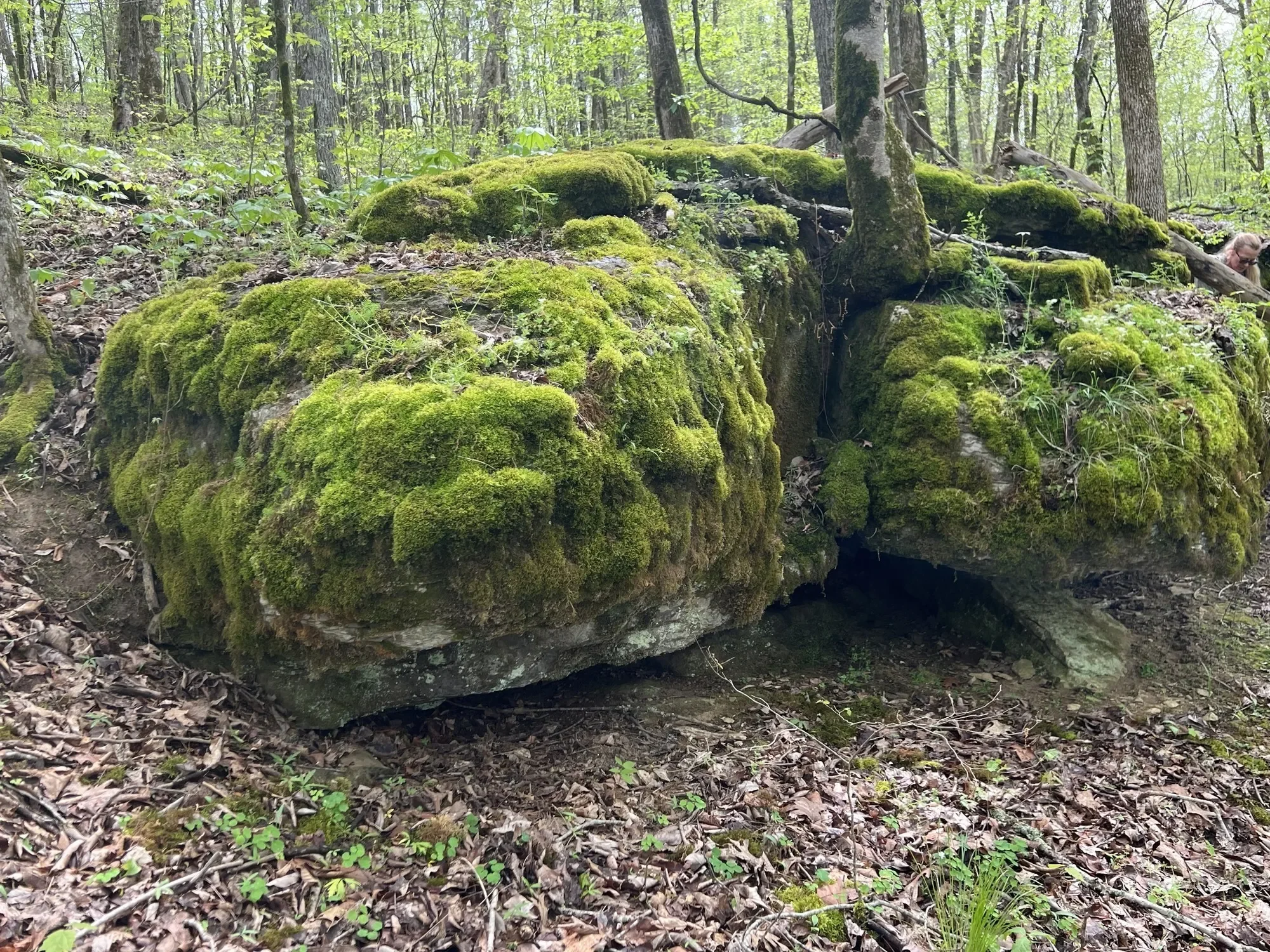 0 Huff Hollow Rd , Granville, TN 38564, Granville, Tennessee, United States. - Photo 12