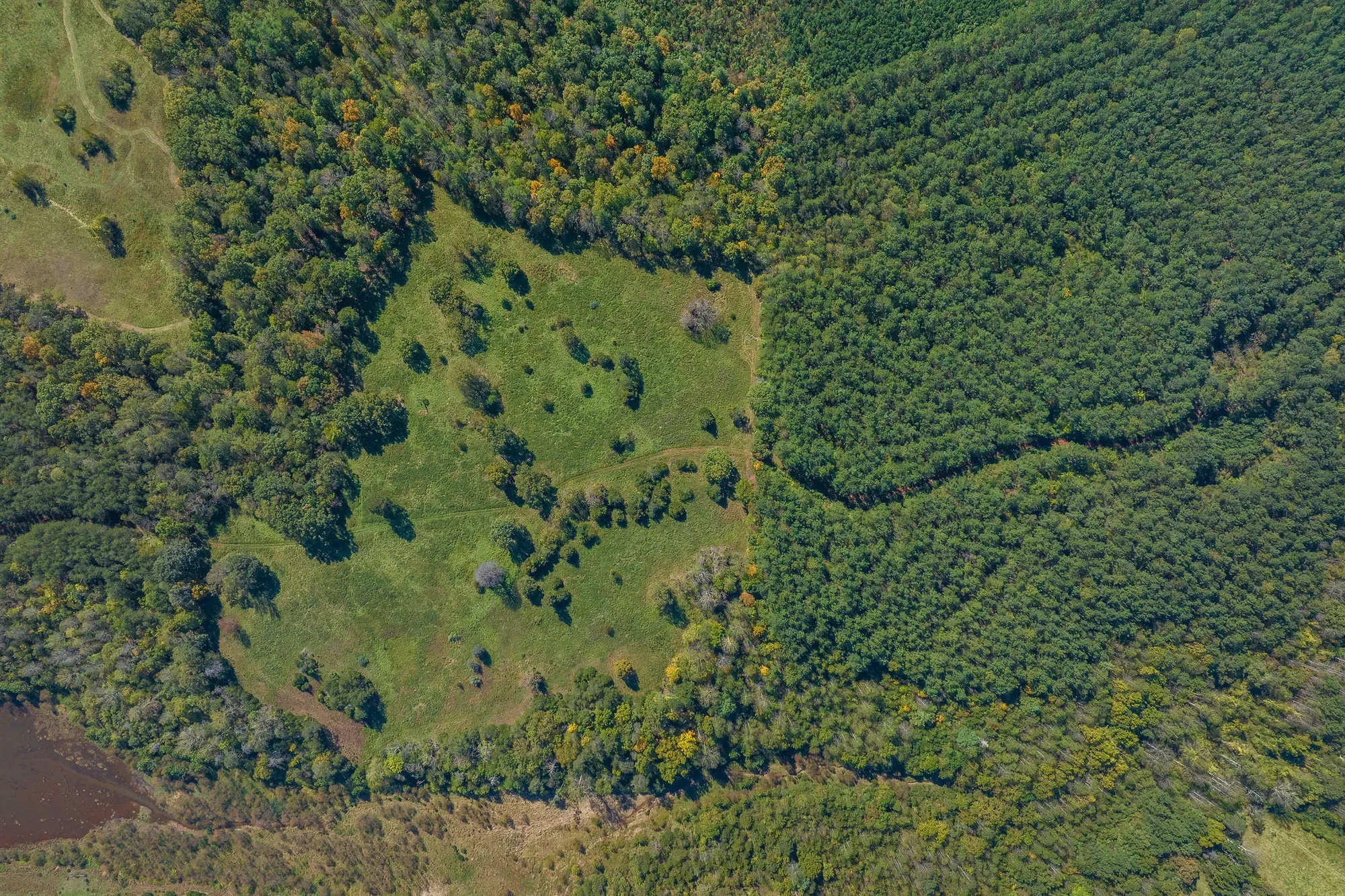 955 Simmons Gap Rd, Dyke, VA 22935, Dyke, Virginia, United States. - Photo 43