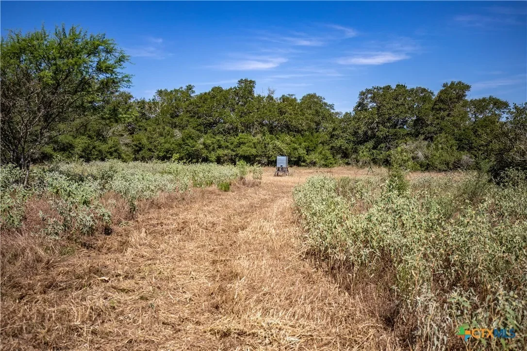 000 Stratton Road, Yoakum, TX 77995, Yoakum, Texas, United States. - Photo 37