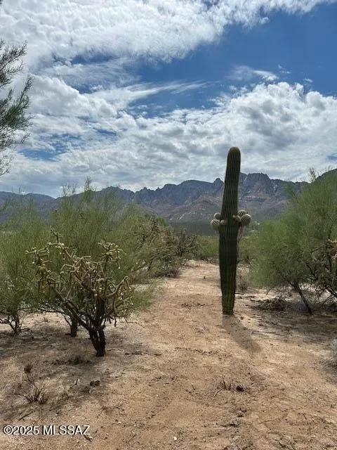 11484 N 1st Avenue, Oro Valley, AZ 85737, Oro Valley, Arizona, United States. - Photo 46