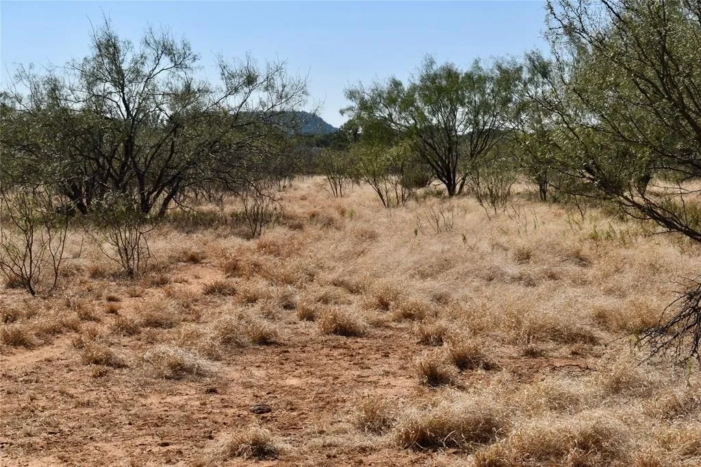 19319 Ranch Road 1871, Mason, Texas, United States. - Photo 22