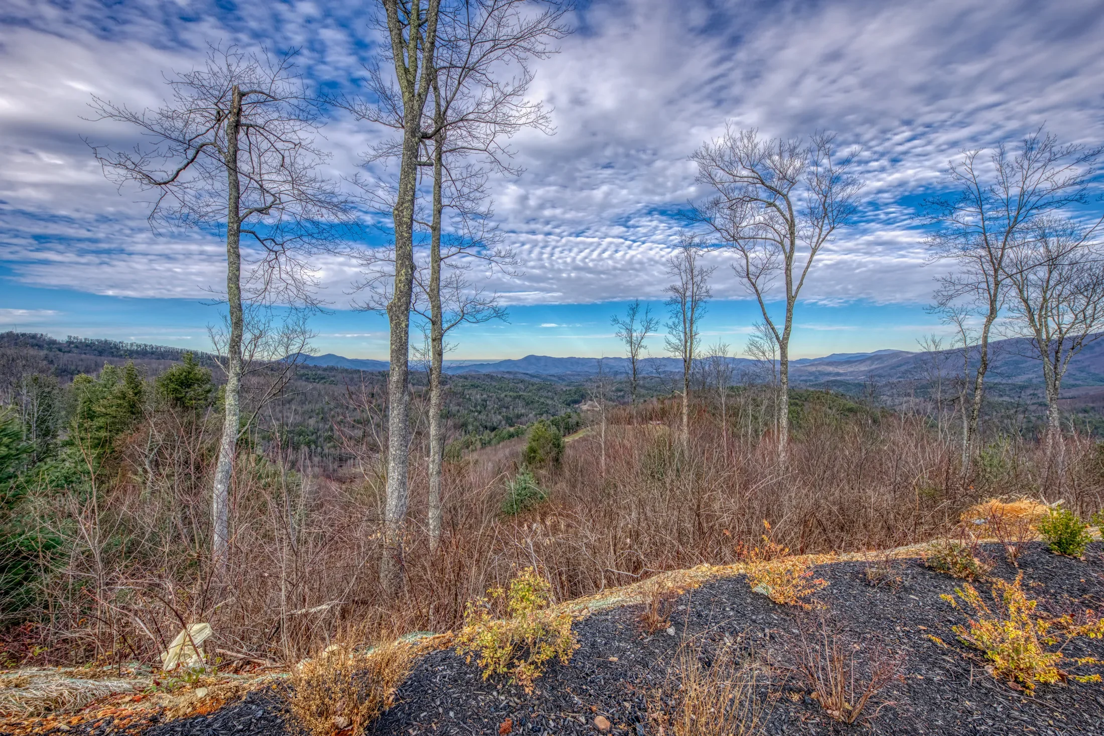 1898 Kennedy Way , Del Rio, TN 37727, Del Rio, Tennessee, United States. - Photo 46