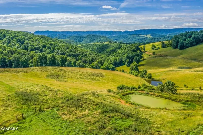 745 Ronald Holt Lane, Tazewell, TN, 37879, USA, Tazewell, Tennessee, United States. - Photo 44