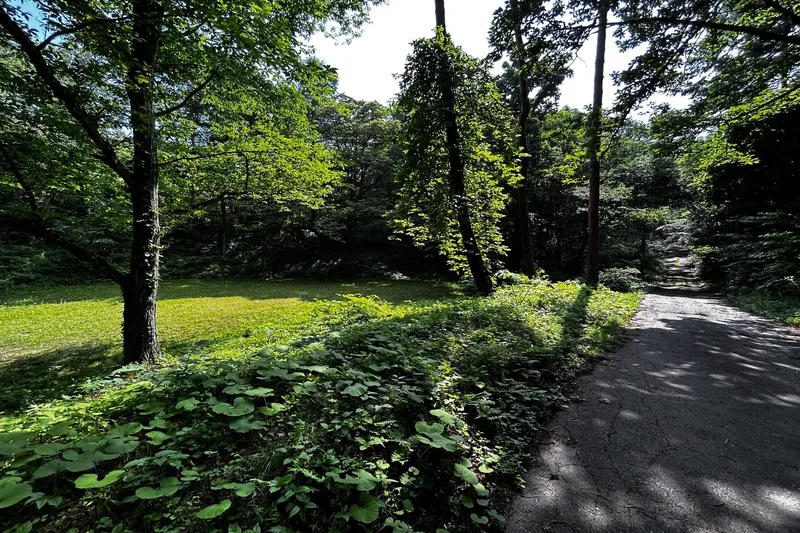 Nagano, 13, Nagano, Nagano, Japan. - Photo 12