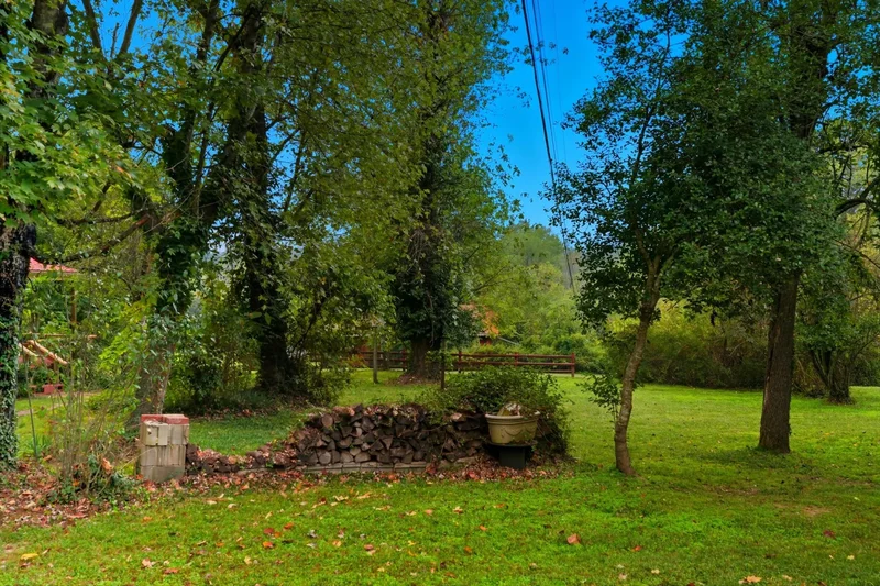 Forsyth, Missouri, United States. - Photo 86