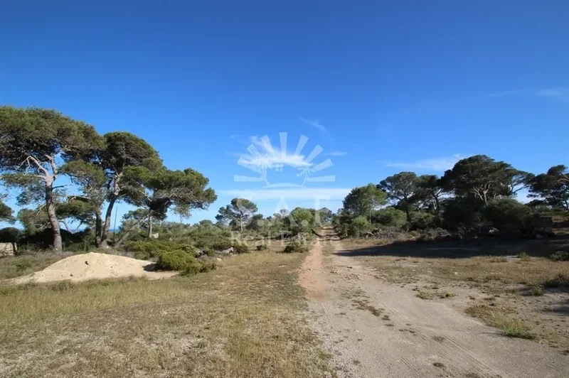 Carrer de la Marina, Llucmajor, Balearic Islands, Spain. - Photo 19