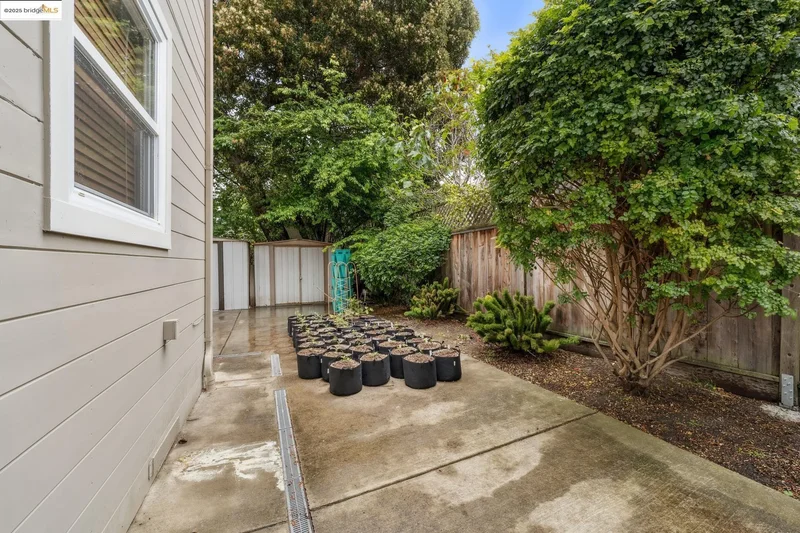 1226 Russell Street, Berkeley, California, United States. - Photo 21