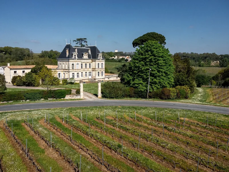 Bordeaux, Nouvelle-Aquitaine, France. - Photo 8