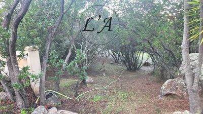Thumbnail 16