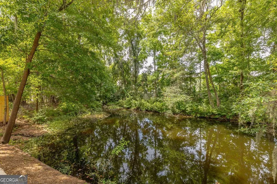 19 Wimbledon Court, St. Simons, GA 31522, St. Simons, Georgia, United States. - Photo 44