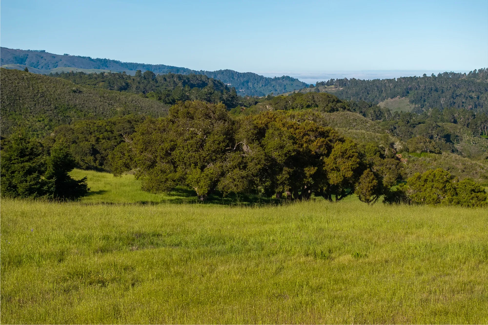 25825 Via Malpaso (Lot 68), Carmel, CA 93923, Carmel-by-the-Sea, California, United States. - Photo 5