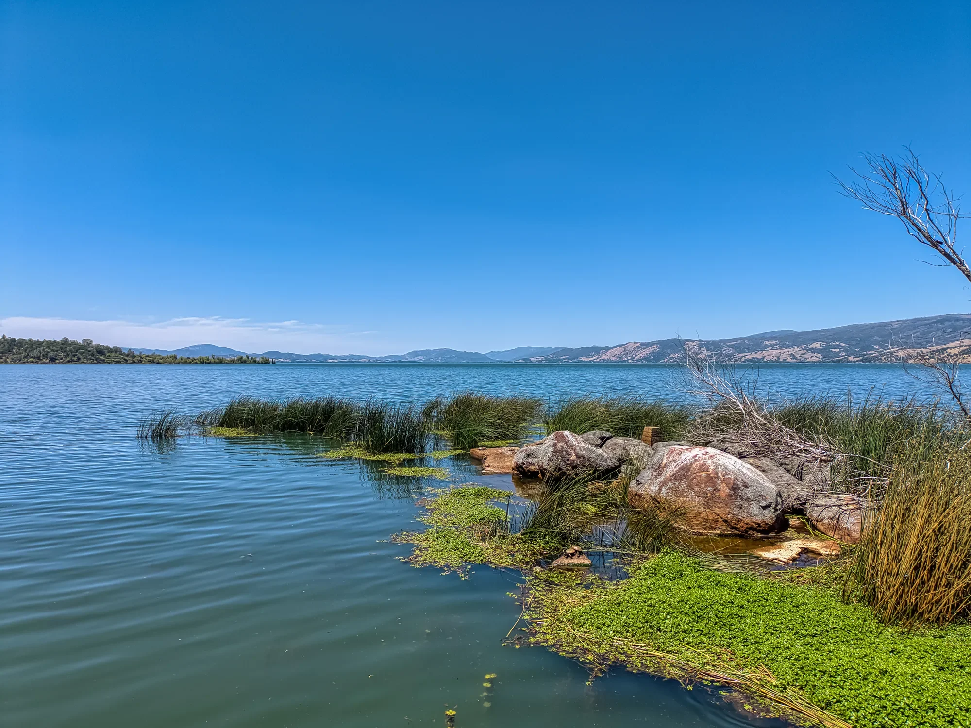 2998 Willow Road , Kelseyville, CA 95451, Kelseyville, California, United States. - Photo 50