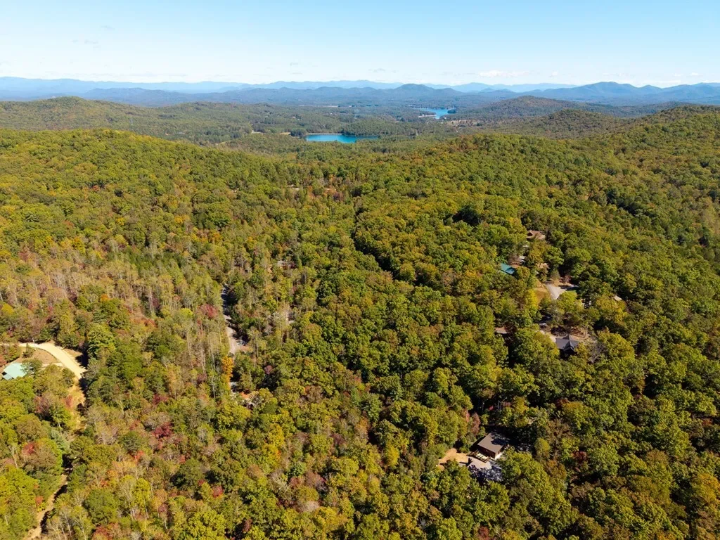 217 Goldmine Road, Morganton, Georgia, United States. - Photo 41