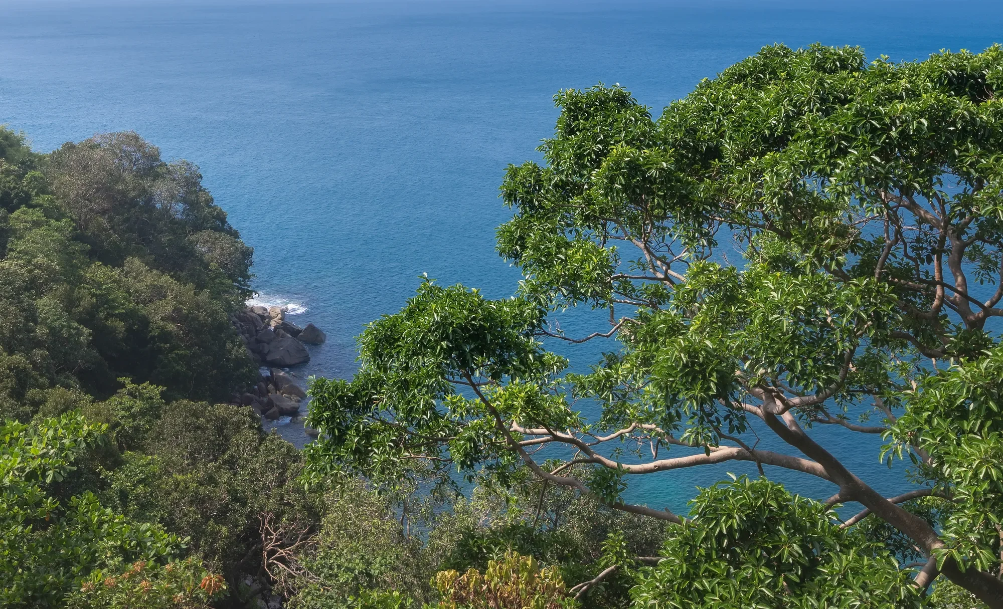 วิลล่า บ้าน บันยัน 49 24 Tambon Kamala, Amphoe Kathu, Chang Wat Phuket 83150, Thailand, Kamala, Phuket, Thailand. - Photo 43