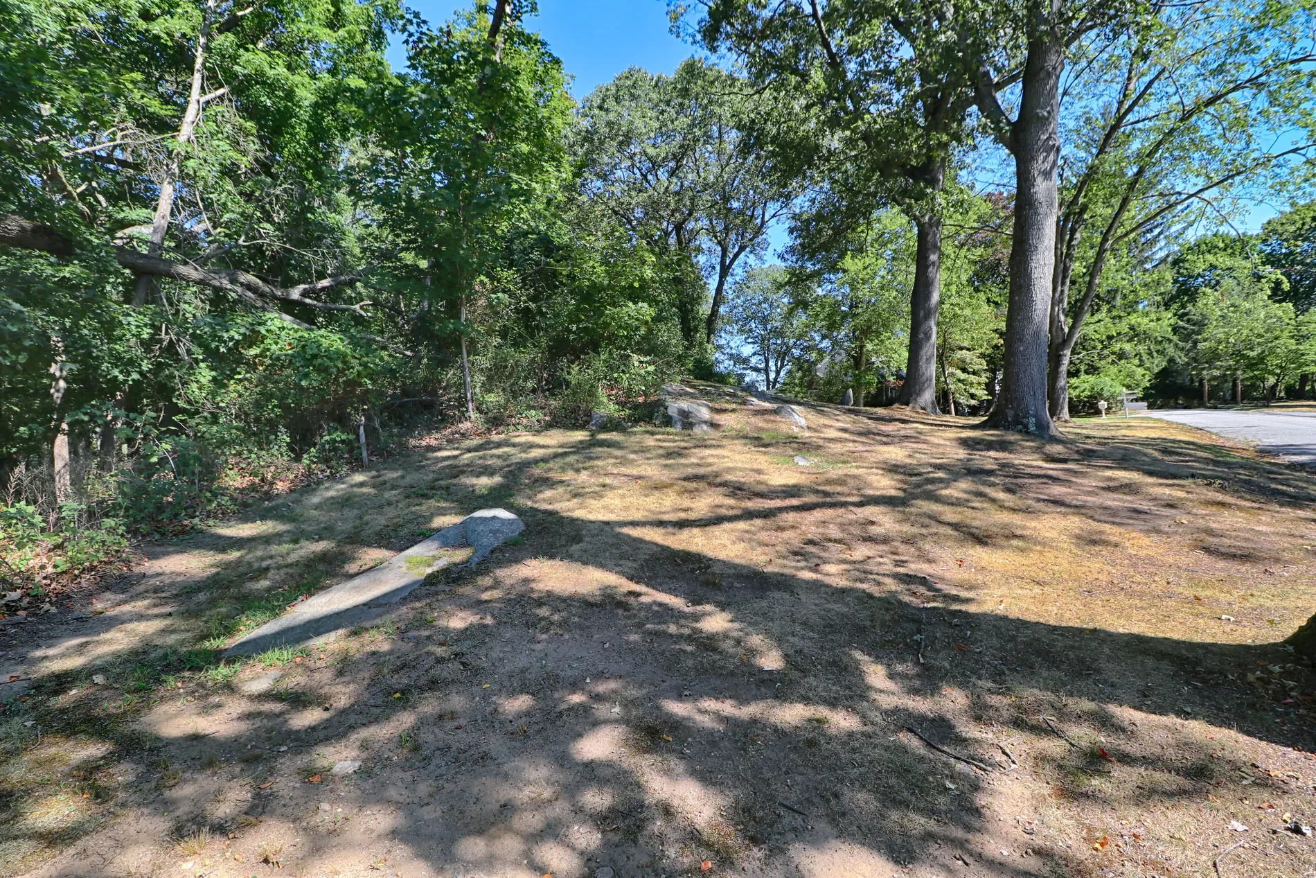 Gallery photo 9