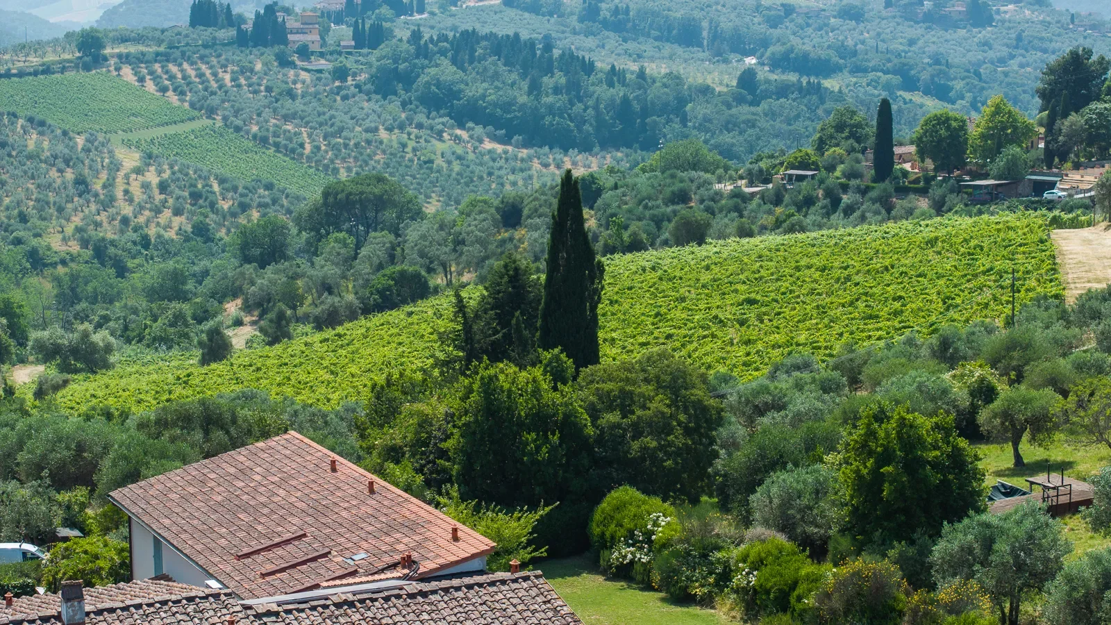 50023 Impruneta, Metropolitan City of Florence, Italy, Impruneta, Tuscany, Italy. - Photo 27