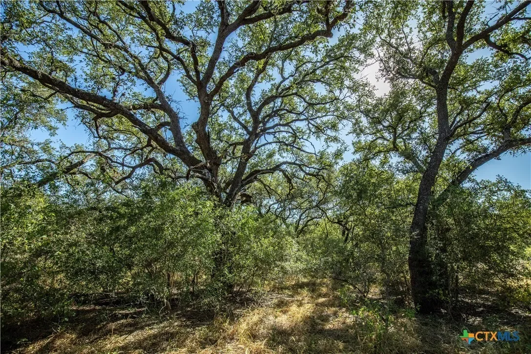 21123 Lamm Road, Elmendorf, TX 78112, Elmendorf, Texas, United States. - Photo 26
