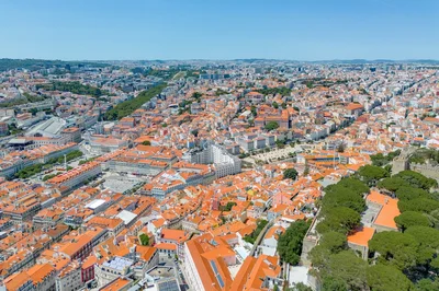 Thumbnail 19