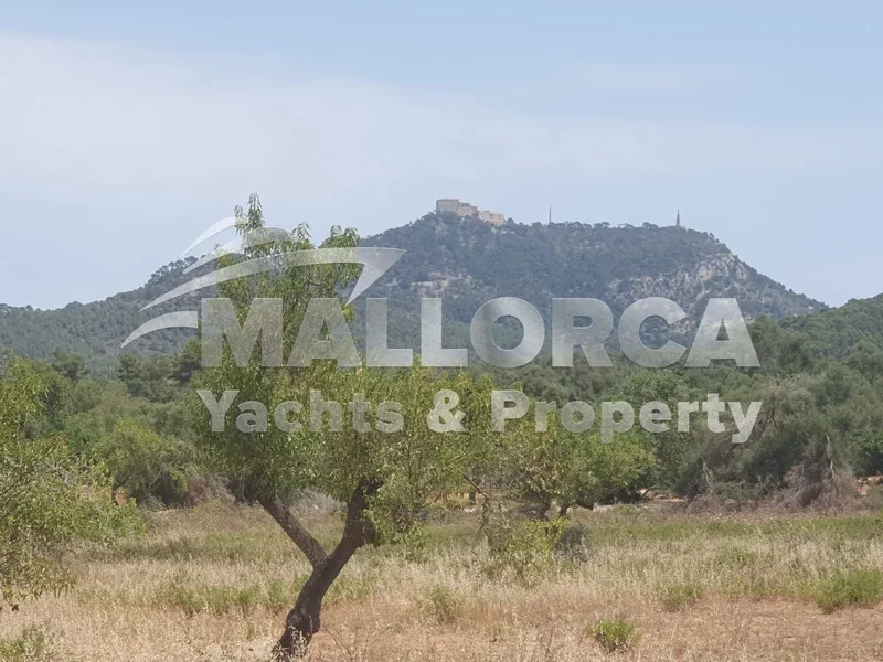 07200 Felanitx, Balearic Islands, Spain, Felanitx, Balearic Islands, Spain. - Photo 17