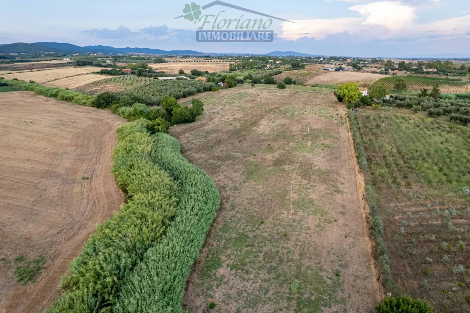 Località Belvedere, Montalto di Castro, Lazio, Italy. - Photo 17
