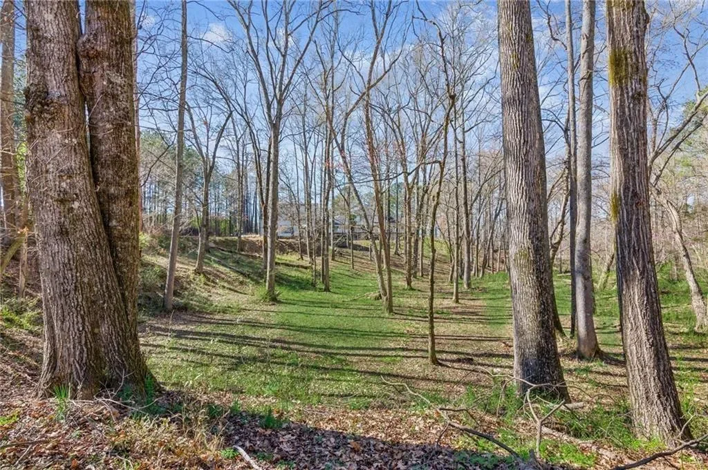 11637 Brown Bridge Road, Covington, Georgia, United States. - Photo 62