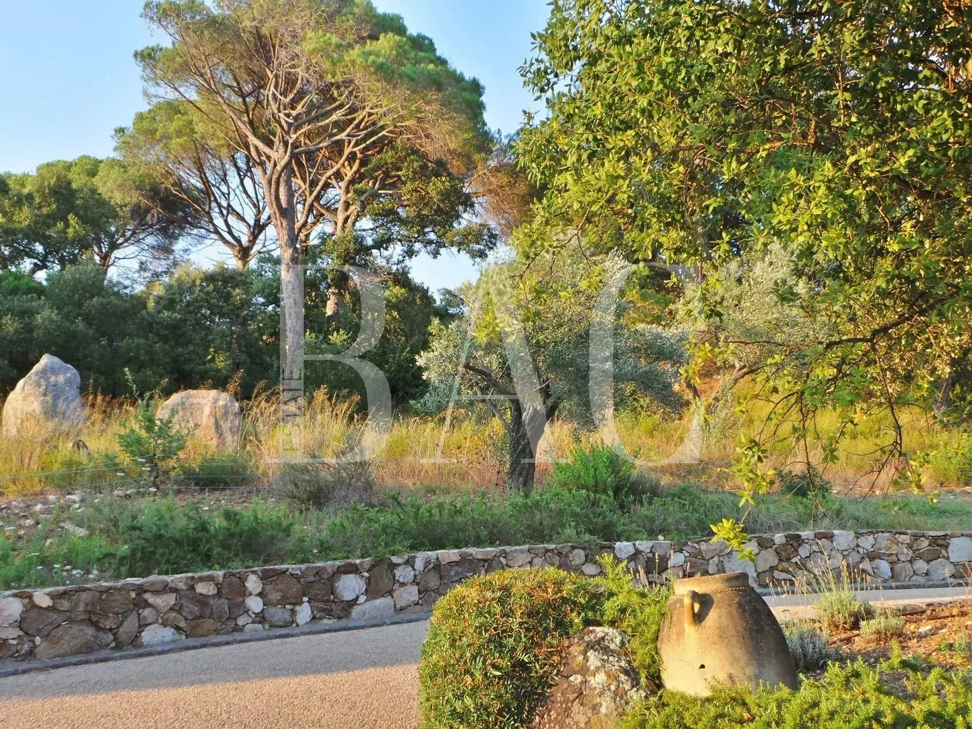 Ramatuelle, Provence-Alpes-Côte d'Azur, France. - Photo 33