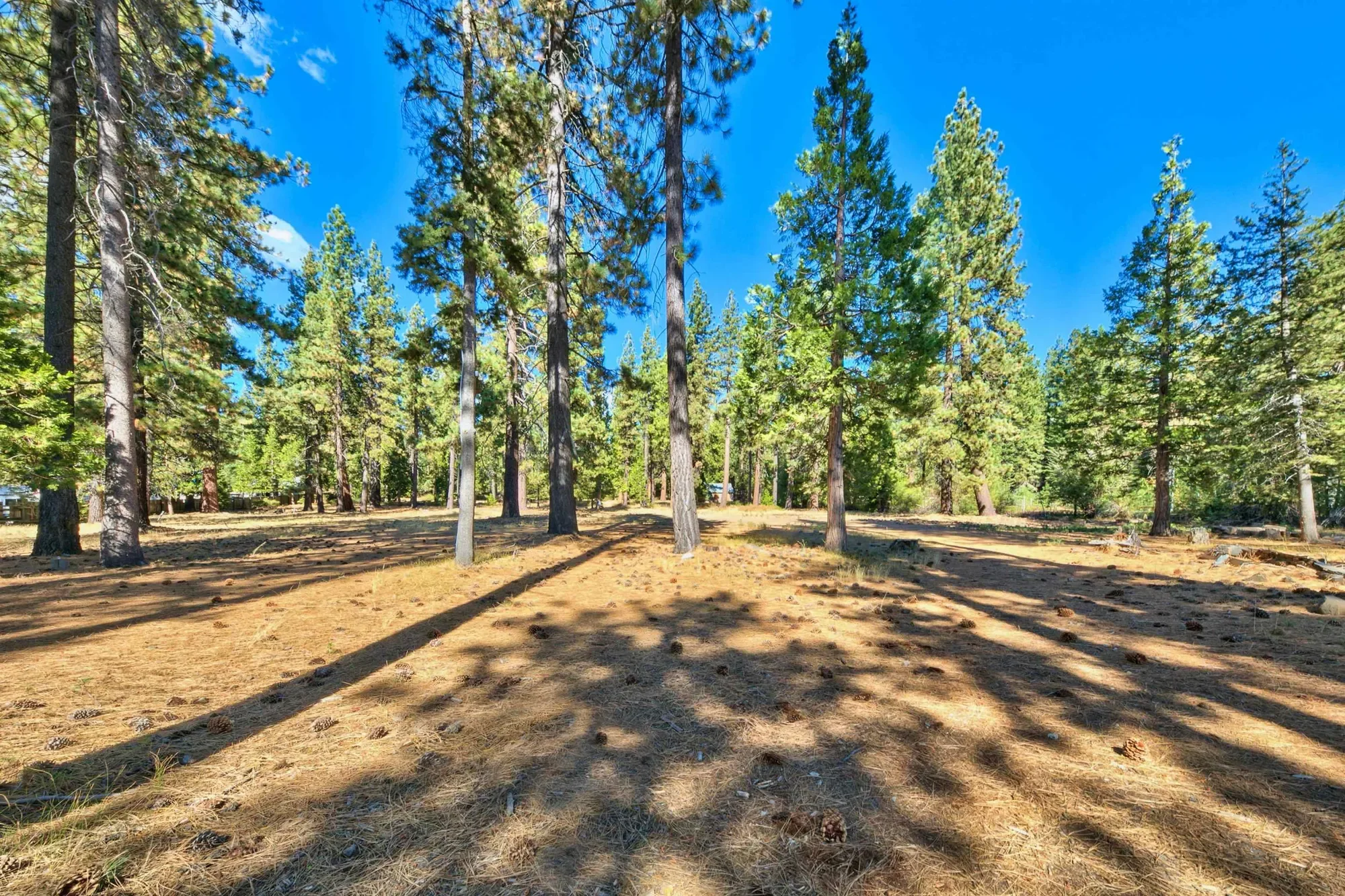 6873 North Lake Boulevard, Kings Beach, California, United States. - Photo 10
