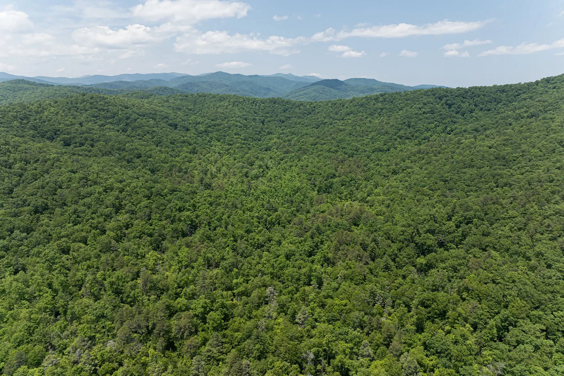 1000 Sutton Creek Road, Pisgah Forest, NC 28768, Mills River, North Carolina, United States. - Photo 24