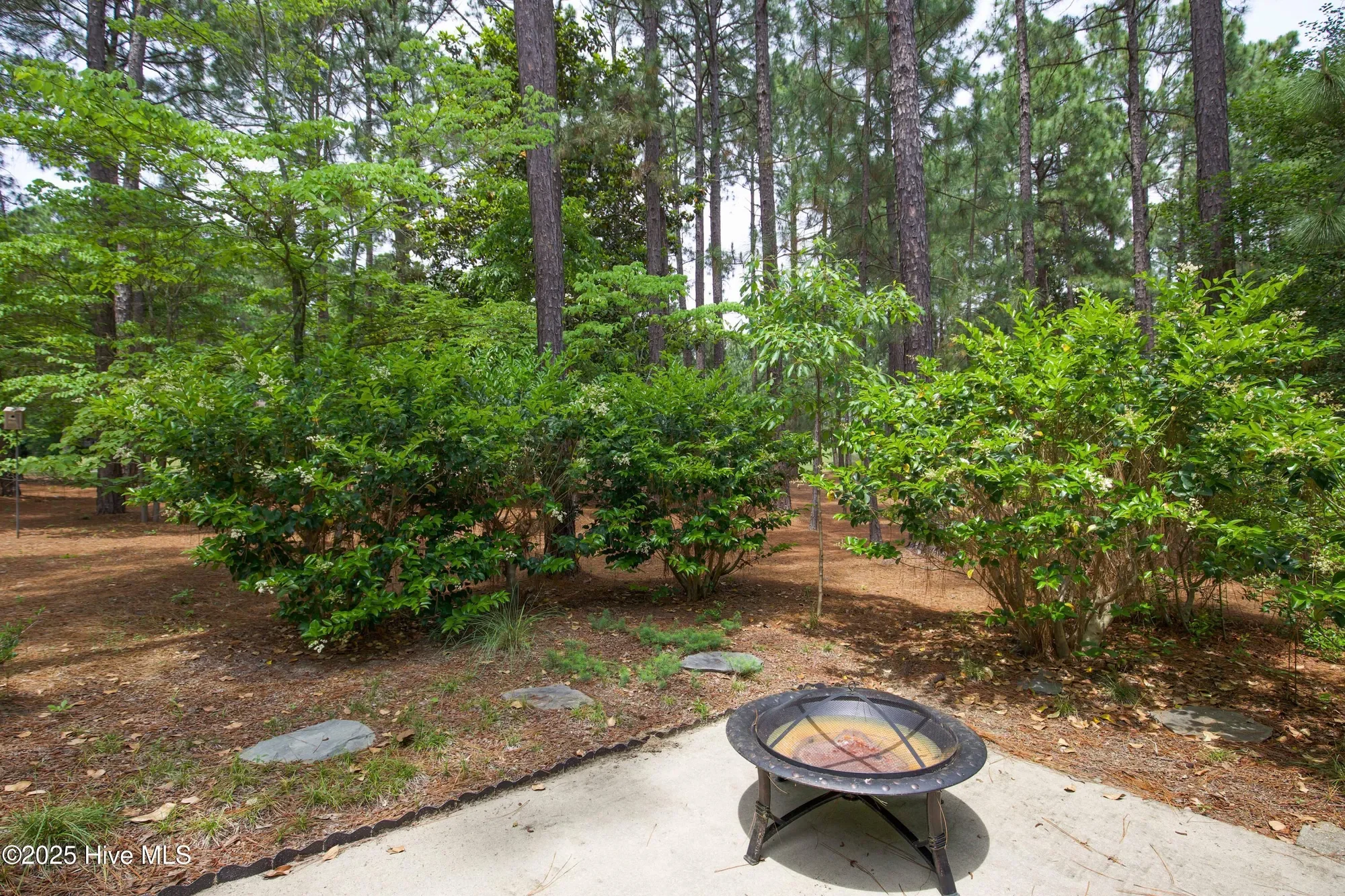 17 Troon Drive, Pinehurst, North Carolina, United States. - Photo 65