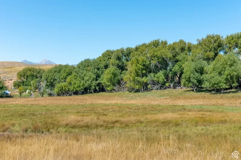 1570 W Main Rd, Wallsburg, UT 84082, Wallsburg, Utah, United States. - Photo 18