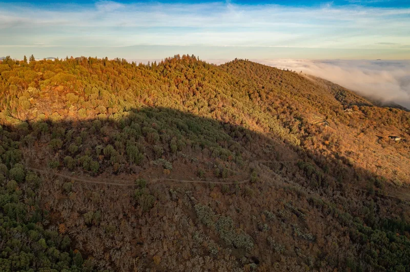 2155 Ashland Mine Road, Ashland, OR, 97520, USA, Ashland, Oregon, United States. - Photo 28