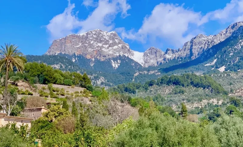 Soller, Balearic Islands, Spain. - Photo 12