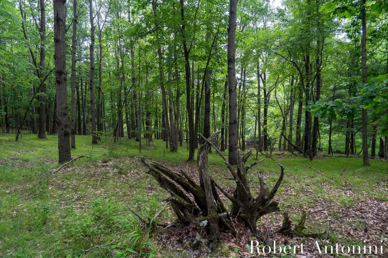 4751 S Johnson Road, Gowen, MI 49326, Greenville, Michigan, United States. - Photo 82