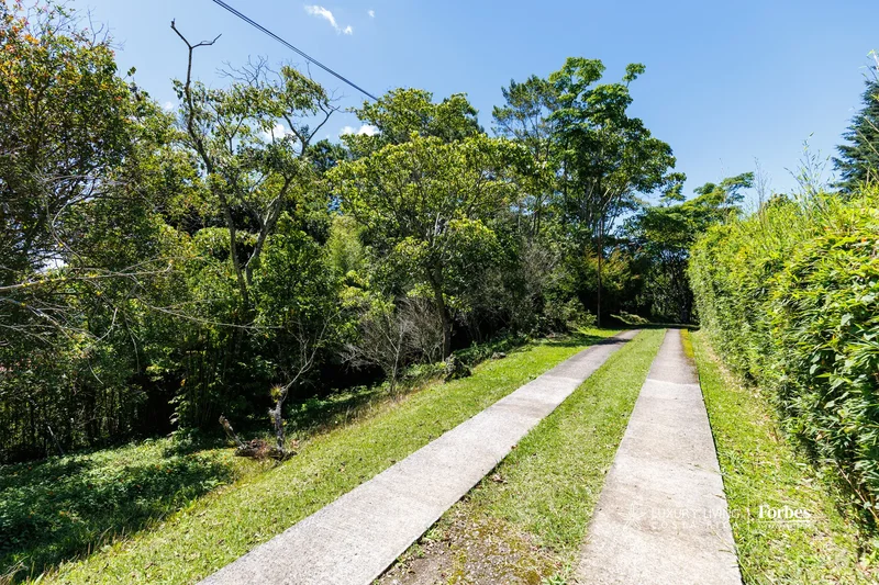 Tarbaca, San José, Aserrí, Costa Rica, San José Province, Costa Rica. - Photo 14