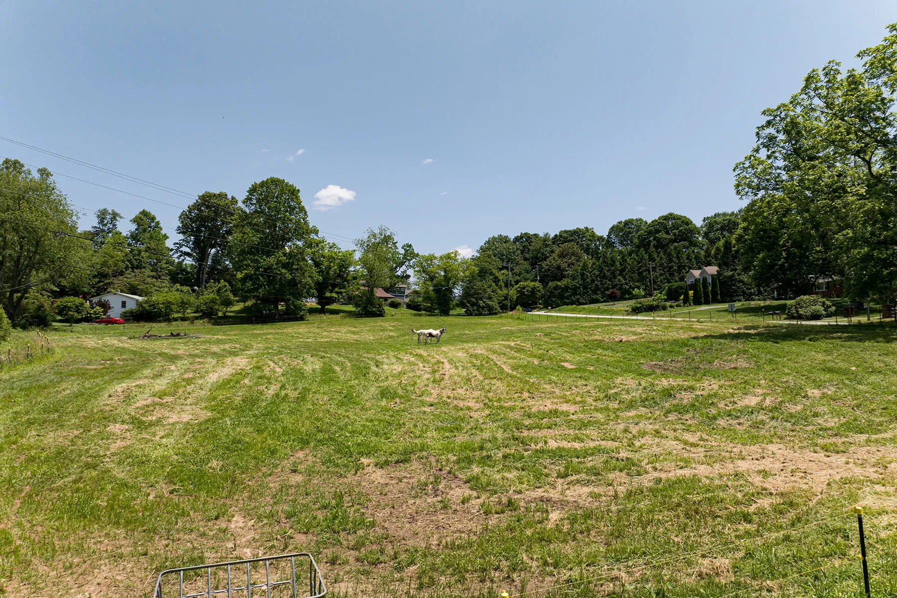 173 Avery Creek Road, Arden, NC 28704, Arden, North Carolina, United States. - Photo 1