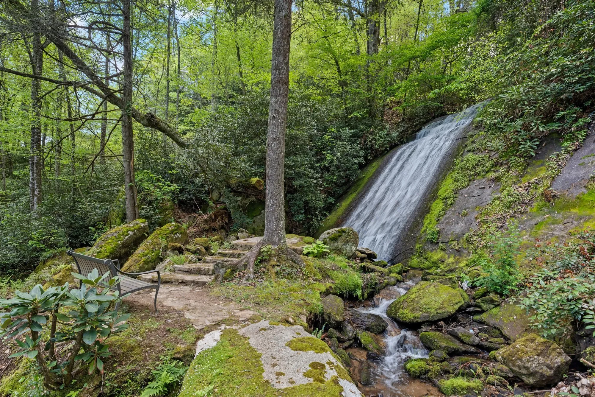 685 Gold Mine Road, Highlands, NC 28741, Highlands, North Carolina, United States. - Photo 5