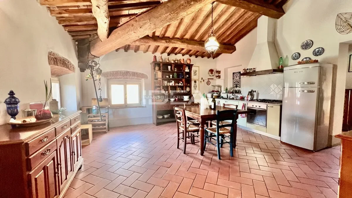 Gallery photo 11