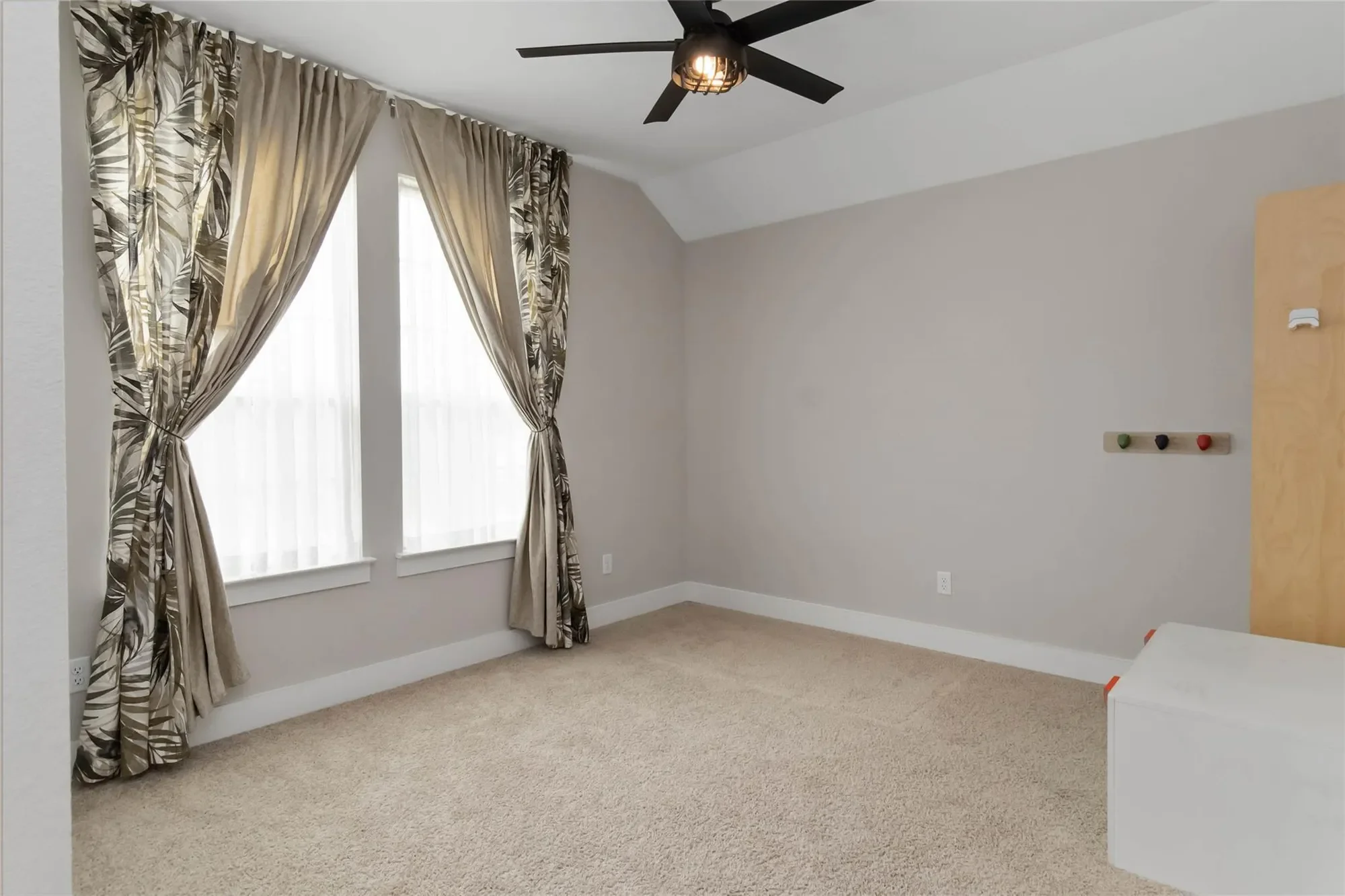 110 Buteo ST, Cedar Creek, Texas, United States. - Photo 10