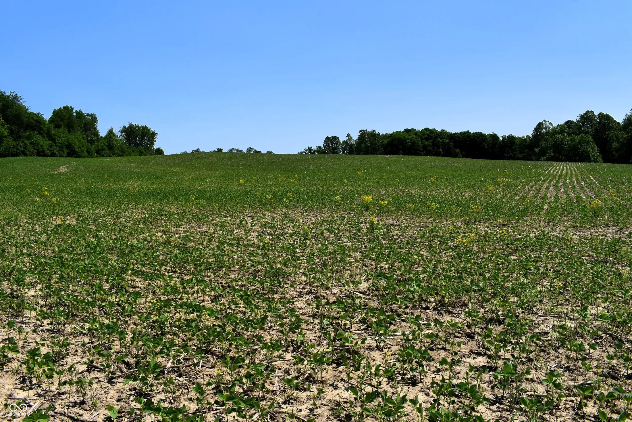 0 Watson Road E, Mooresville, IN 46158, Mooresville, Indiana, United States. - Photo 16