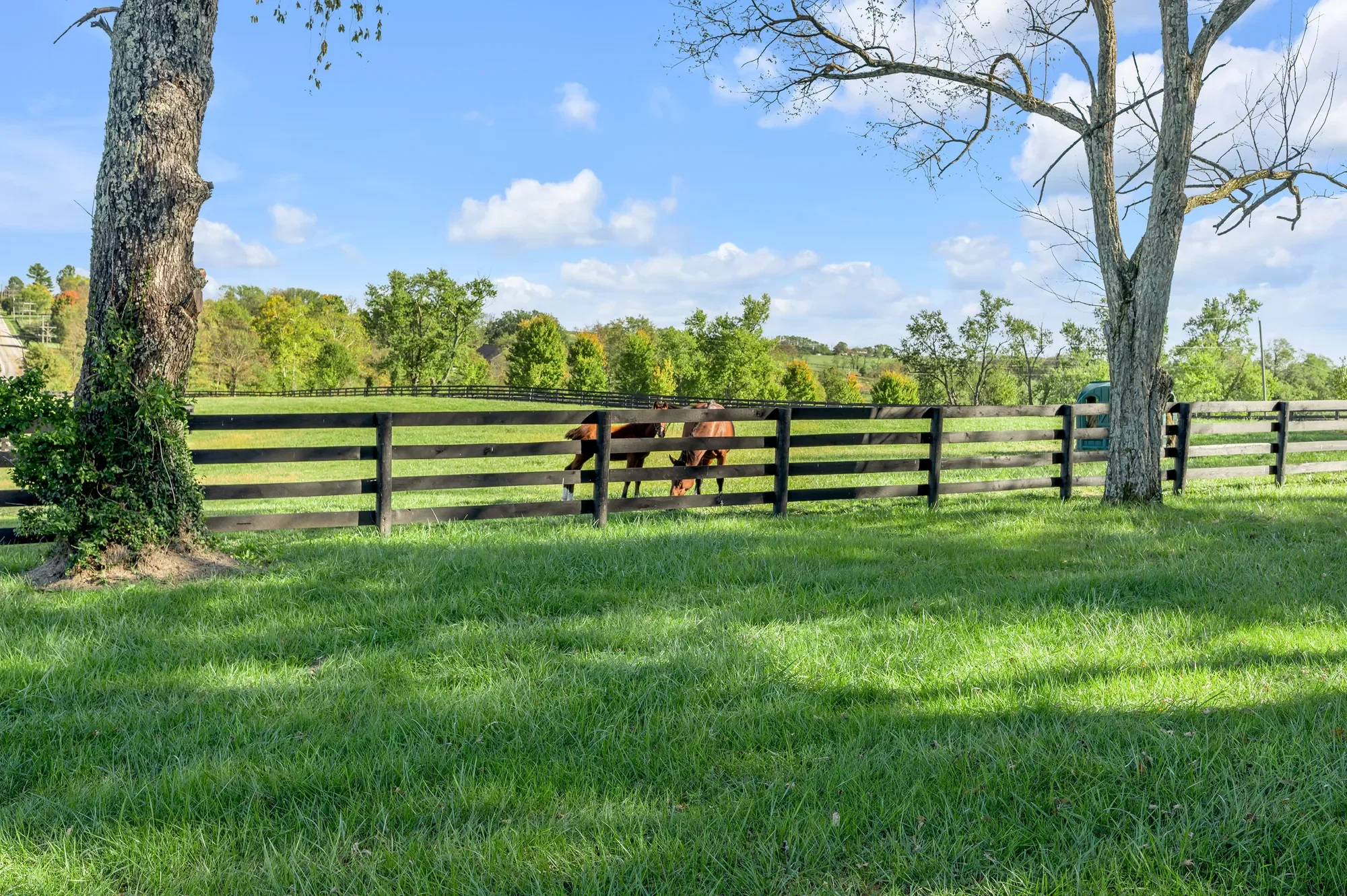 2788 Frankfort Road, Georgetown, KY 40324, Midway, Kentucky, United States. - Photo 79