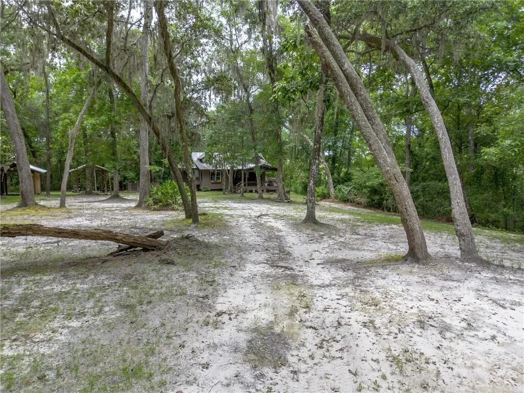 1360 Douglas Fish Camp Road, White Oak, GA 31568, White Oak, Georgia, United States. - Photo 6