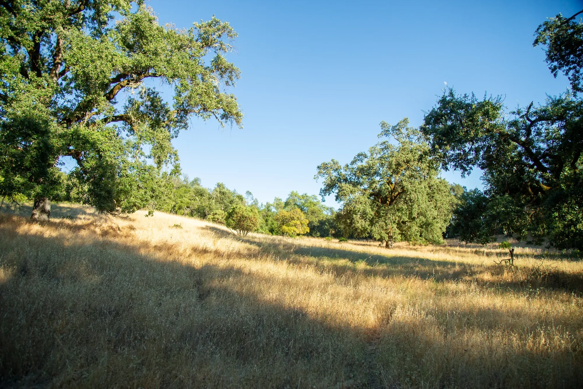 29810 River Road , Cloverdale, CA 95425, Cloverdale, California, United States. - Photo 15