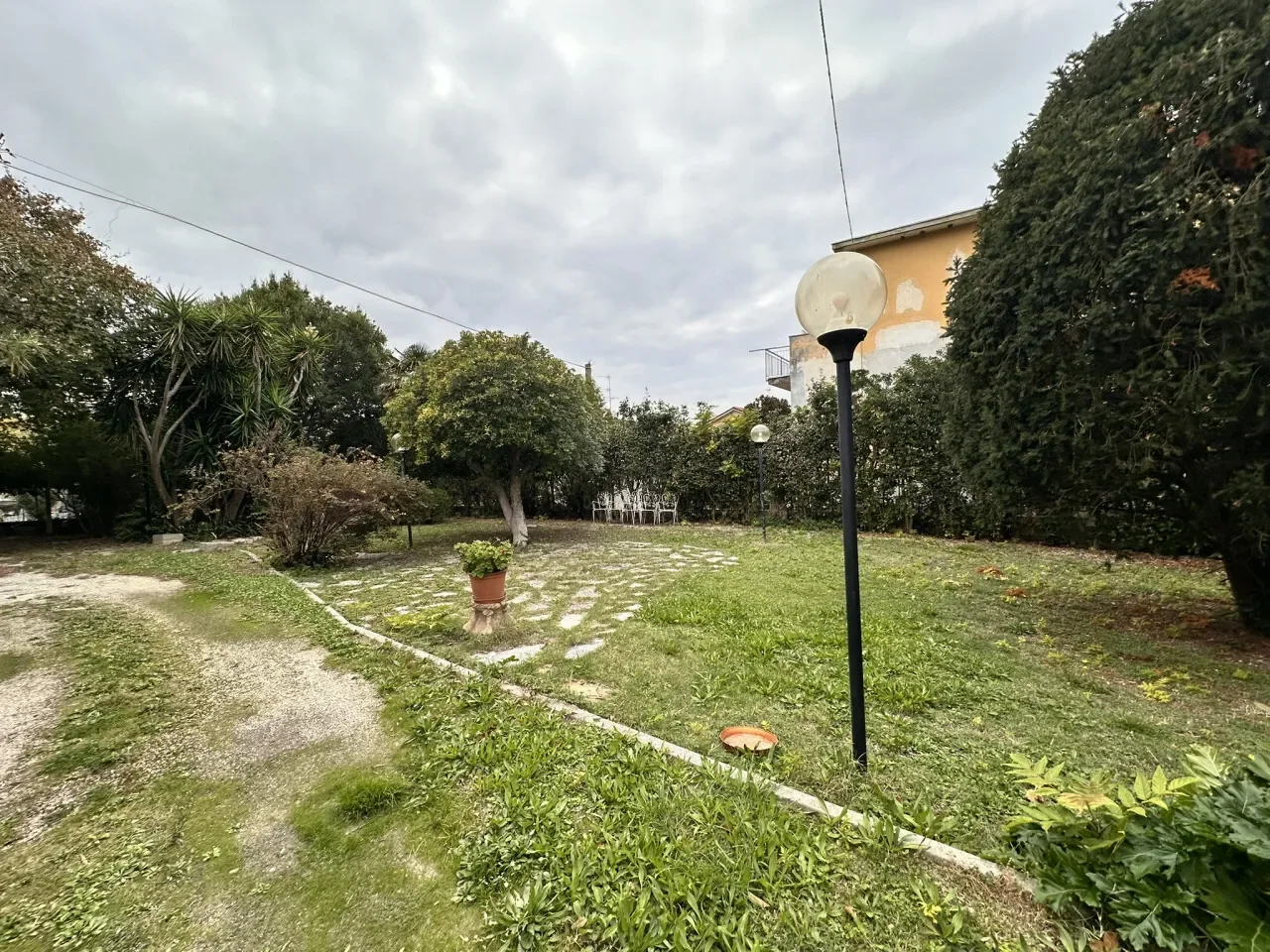 Gallery photo 12