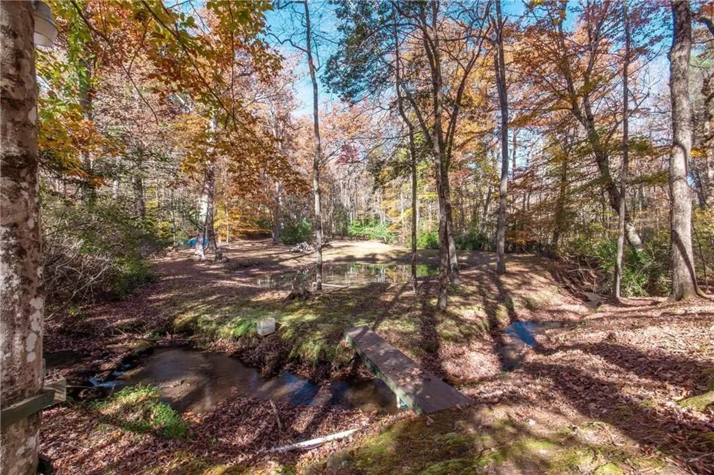 339 Wehunt Road, Blue Ridge, Georgia, United States. - Photo 70