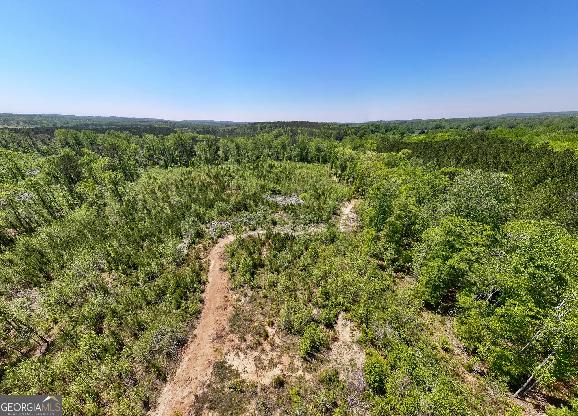 Shiloh, Georgia, United States. - Photo 45