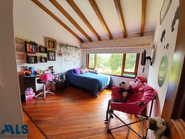 Gallery photo 7