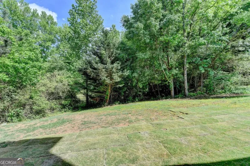 Cumming, Georgia, United States. - Photo 47