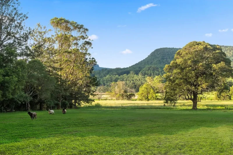 1490B Kangaroo Valley Road, Kangaroo Valley, NSW, Kangaroo Valley, New South Wales, Australia. - Photo 25