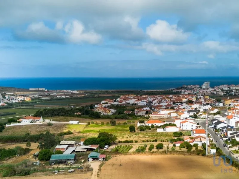 Lourinhã e Atalaia, Lourinhã, Lisboa, Lourinhã, Lourinha e Atalaia, Lisbon, Portugal. - Photo 11
